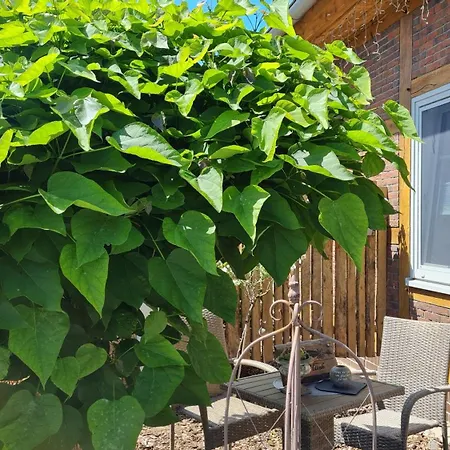 Lejlighed Mutti 's Landhof *