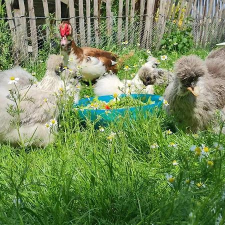 Lejlighed Mutti 's Landhof *