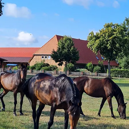 Mutti 's Landhof Lejlighed Ummern