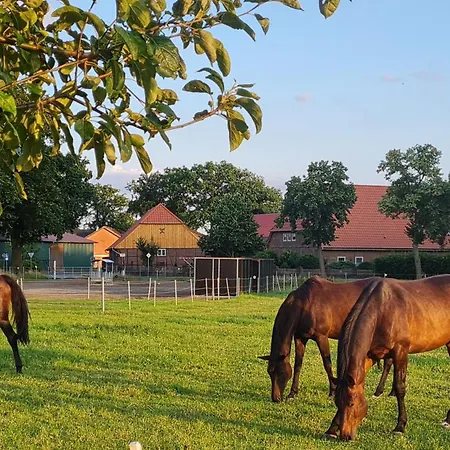 Lejlighed Mutti 's Landhof Ummern