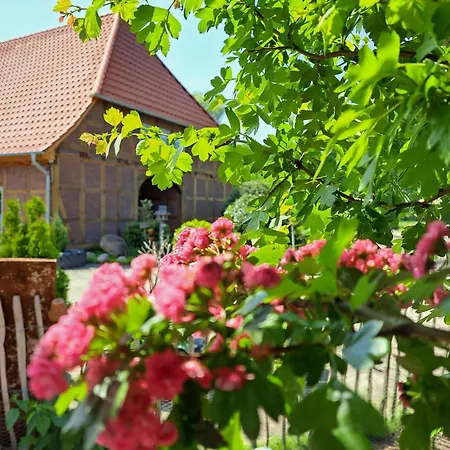 Lejlighed Mutti 's Landhof *