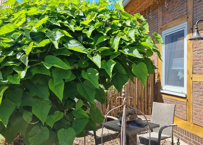 Appartement Mutti 's Landhof *