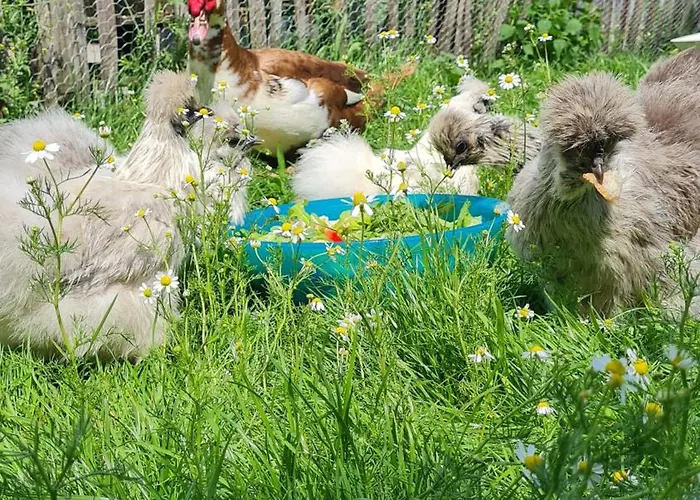 Appartement Mutti 's Landhof *